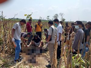 Wanita yang Mayatnya Ditemukan di Lahan Jagung Ngawi Diduga Korban Pembunuhan