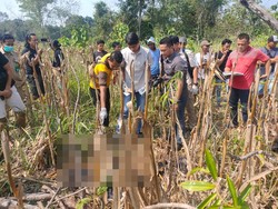 Teka-teki Wanita Diduga Dibunuh Setengah Telanjang di Lahan Jagung