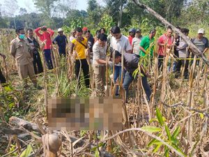 Empat Saksi Diperiksa Terkait Wanita Diduga Dibunuh di Lahan Jagung Empat Saksi Diperiksa Terkait Wanita Diduga Dibunuh di Lahan Jagung