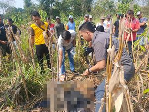 Mayat Wanita di Lahan Jagung Ngawi Setengah Telanjang, Korban Pemerkosaan?