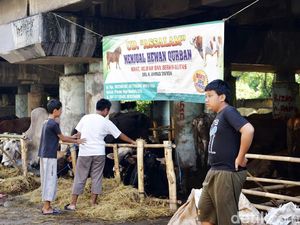 Cara Memilih Hewan Kurban yang Benar Sesuai Syariat Islam