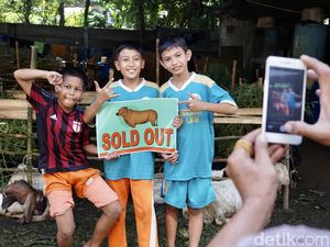 Lokasi Penjualan Hewan Kurban Jadi Wisata Dadakan Bocil