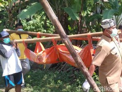 Pria Banyuwangi yang Dikira Digondol Lelembut Ditemukan Tewas Dekat Pohon