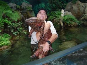 Mengenal Salamander Raksasa, Amfibi Terbesar Dunia Seangkatan Dinosaurus Mengenal Salamander Raksasa, Amfibi Terbesar Dunia Seangkatan Dinosaurus