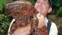 Hewan Mirip Lele Berkaki Ini Hidup Sejak Zaman Dinosaurus