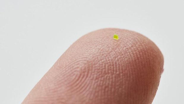 Tas Mikroskopis karya MSCHF