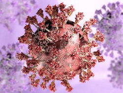 Varian COVID Eris yang Ngamuk di Inggris Ternyata Lebih Dulu Menyebar di DKI