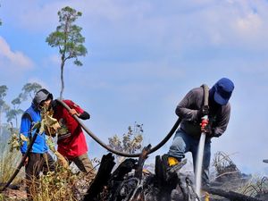 Duh! Cagar Biosfer GSK di Bengkalis Terbakar Diduga Akibat Buka Lahan Sawit Duh! Cagar Biosfer GSK di Bengkalis Terbakar Diduga Akibat Buka Lahan Sawit