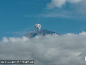 Gunung Semeru Erupsi Pagi Ini, Semburkan Abu Vulkanik Setinggi 600 Meter