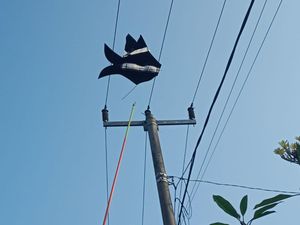 Ribuan Pelanggan Mati Listrik gegara Layang-layang