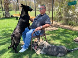 Ternyata Ini Alasan Kenapa Anjing Suka Mengikuti Pemiliknya