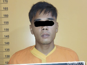 Maling Malam Hari, Ninja Sawit di Riau Tewas Dibacok Pemilik Kebun