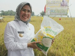 Bupati Serang Raih Penghargaan Satyalancana Wira Karya dari Jokowi