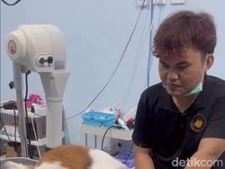Karyawan Siksa Anjing Sampai Mati, Ini Respons Pet Shop De Parlour Batam