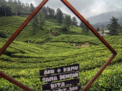 DPR ke Menpar: Jangan Biarkan Pesawat Haji Pulang Kosong, Angkut Turis Saudi