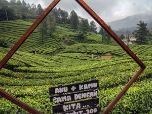 DPR ke Menpar: Jangan Biarkan Pesawat Haji Pulang Kosong, Angkut Turis Saudi DPR ke Menpar: Jangan Biarkan Pesawat Haji Pulang Kosong, Angkut Turis Saudi