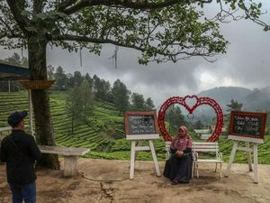 Jangan Meneduh Sembarangan di Puncak, Area Rawan di Gunung Mas-Rindu Alam