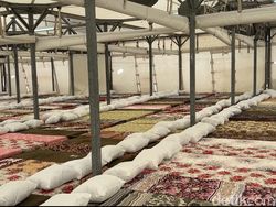 Potret Tenda Jemaah Haji RI di Mina: Berlantai Keramik, Ada Toilet untuk Difabel