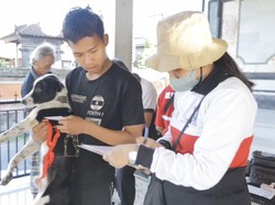 Aturan Adat Rabies Efektif, tapi Baru Segelintir Desa yang Punya
