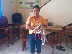 Takut Rabies, Warga Karangasem Ramai-ramai Vaksinasi Anjing Peliharaan