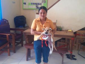 Takut Rabies, Warga Karangasem Ramai-ramai Vaksinasi Anjing Peliharaan Takut Rabies, Warga Karangasem Ramai-ramai Vaksinasi Anjing Peliharaan