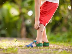 Musim Liburan Tiba! Cegah Nyamuk dengan Cara Ini Saat Bepergian