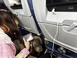 Kesalnya Wanita Ini Disuruh Geser demi Pitbull di Pesawat