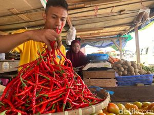 Harga Cabai Keriting di Sorong Melonjak Drastis, Tembus Rp 100 Ribu/Kg