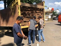 Polda Jambi Buru Pemilik Kayu Ilegal yang Diangkut Truk dari Sumsel