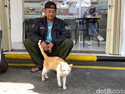 Kisah Persahabatan Juru Parkir Bersama Kucing Michael