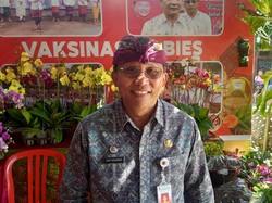 6 Bulan Tembus 59 Kasus, Rabies Karangasem Tertinggi di Bali