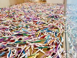 Donasikan Sikat Gigimu, Isabel dan Alfredo Aquilizan Ubah Jadi Karya Seni