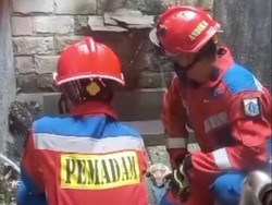 Damkar Jaktim Buru Ular di Rumah Kosong di Matraman, Upayakan Metode Fogging