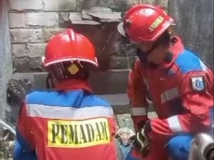 Damkar Jaktim Buru Ular di Rumah Kosong di Matraman, Upayakan Metode Fogging Damkar Jaktim Buru Ular di Rumah Kosong di Matraman, Upayakan Metode Fogging