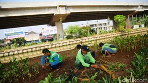 Potret Kolong Tol Becakayu Dipercantik dengan Penghijauan