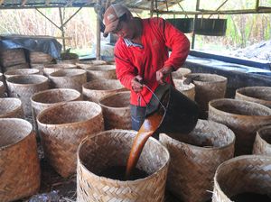 Mengitip Pembuatan Gula Merah Tradisional di Kudus