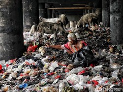 Riset Oxford: 25 Negara Berhasil Kurangi Separuh Kemiskinan, Termasuk Indonesia