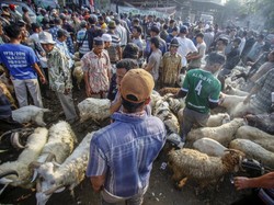 Hukum Kurban untuk Orang yang Sudah Meninggal, Ini Pendapat Ulama