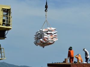 India Akhirnya Buka Keran Ekspor Beras, Tapi...