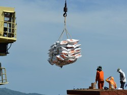 Mendag soal Impor Beras Antisipasi El Nino: Kalau Diminta, Izin Saya Kasih