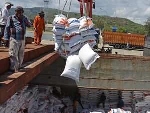 Ribuan Ton Beras Impor Asal Thailand Tiba di Aceh Ribuan Ton Beras Impor Asal Thailand Tiba di Aceh