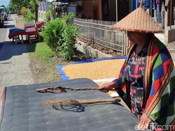 Mengenal Tradisi Mepe Kasur Menyambut Idul Adha di Banyuwangi