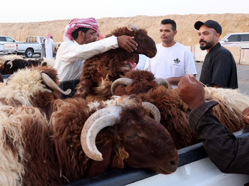 Begini Suasana Jual Beli Hewan Kurban di Arab Saudi Begini Suasana Jual Beli Hewan Kurban di Arab Saudi
