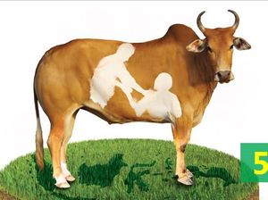 5 Alasan Mengapa Harus Kurban di Dompet Dhuafa