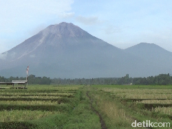 Semeru Alami 12 Kali Letusan dalam 6 Jam, Status Masih Siaga