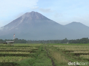 Semeru Alami 12 Kali Letusan dalam 6 Jam, Status Masih Siaga Semeru Alami 12 Kali Letusan dalam 6 Jam, Status Masih Siaga