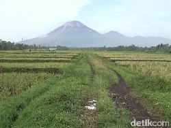 Gunung Semeru 12 Kali Erupsi dalam 6 Jam, Status Siaga
