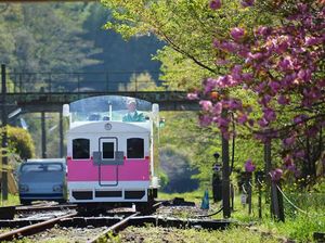 Jepang Keren Banget! Kereta Ini Beroperasi Pakai Bahan Bakar Ramen