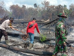 Hutan Taman Nasional Tesso Nilo Terbakar, Tim Sempat Kesulitan