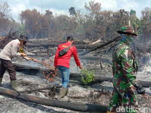 Hutan Taman Nasional Tesso Nilo Terbakar, Tim Sempat Kesulitan Hutan Taman Nasional Tesso Nilo Terbakar, Tim Sempat Kesulitan